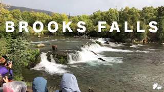 Emerald Air Service - Brooks Falls Self-Guided Trip