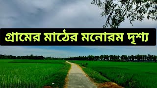 গ্রামের মাঠের মনোরম  পরিবেশ।