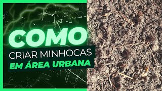 #Segredo: para criar minhocas em área urbana sem estercos