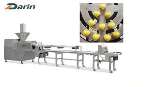 Lecithin Soft Dog Chews Cold Extruder/How It's Made Dog Treat/Heart Shaped Pet Snack Extrusion Line