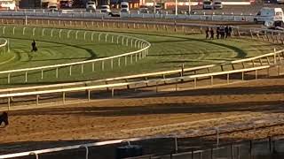 Aqueduct Racetrack up-close - jockey carried off track after a spill, October 20, 2024