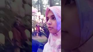 ORCHID FOREST, LENGKAPNYA DI VIDEO YOUTUBE KU YA!