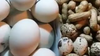 ASMR DAMING BALUT & MANI |  ITLOG PUGO  😄 🤣  ANG SARAP