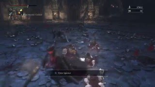 Bloodborne-Lady Oscar vs Gemless Fight club Fextralife BL120-BL80 reiterpallash