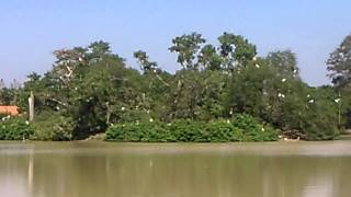 Kolam Rekreasi di Sukamandi, Ciasem - Subang