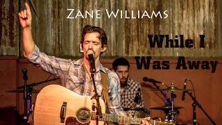 Zane Williams - While I Was Away