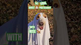 I did the VIRAL GHOST photoshoot trend with my DOG #dog #shorts #halloweencostume