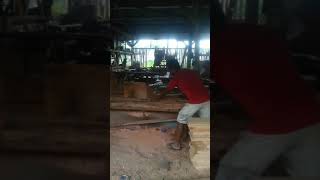 Proses Belah Kayu Untuk Buat Topping Trigona Itama