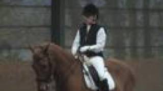 Dressage Horse's Desire To Move Forward Elasticity Roundness