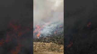 Burning scrub for crop to go on