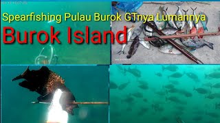 Spearfishing BUROK ISLAND|memanah ikan di laut Aceh