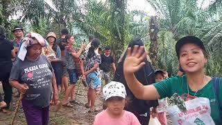 TRADISI TUTUP LIBURAN//MAKAN DI KEBUN //BONGKAR KOLAM IKAN//MKN BERSAMA