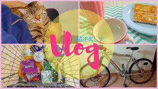 ★ SPESA DA LIDL E NUOVA BICI PER GIO' - VLOG ★ | Weekly Vlogs