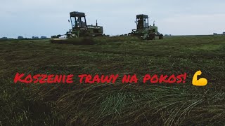 🔥Koszenie trawy nasienej na pokos 💪W akcji 2x Forschrit E303 ! Usługi rolnicze Marciniak 💪🔥