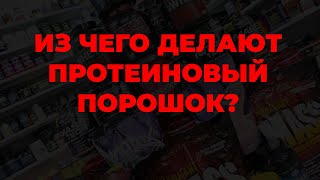 Из чего делают протеиновый порошок?