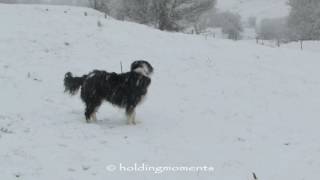 More snow, more fun