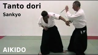 Aikido TANTO DORI, knife defense - SANKYO, by Stefan Stenudd in 2007