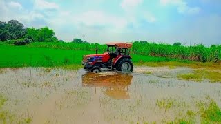 Mahindra Arjun Novo 605 पानी में घुसा दिया वीडियोपूरा देखें @welcomeYouTuber9936