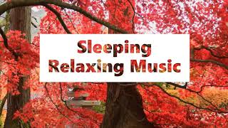 Sleeping Relaxing Music