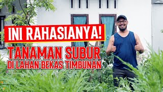 Rahasia Tanaman Subur! Tips Murah Meriah Untuk Kebun di Halaman Rumah.