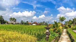 Tempel, Reisterrassen und Meer - Bali - Indonesien 2024