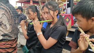 Penyambutan Tamu dengan MUSIK BAMBU Toraja di Bonoran Mantarima Tamu. Ritual Rambu Solo' TORAJA