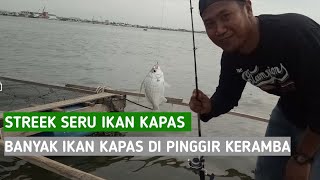 MANCING DI PINGGIR KERAMBA II streek ikan kapas