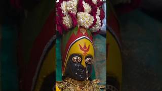 Tuljabhavani Tuljapur new video Navratri साडे तीन शक्तीपीठ तुळजाभवानी देवी तुळजापूर व्हिडियो स्टेटस