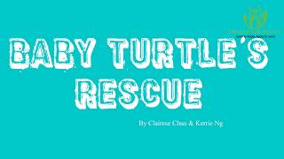 Baby Turtle Rescue by Clairese Chua & Kerrie Ng