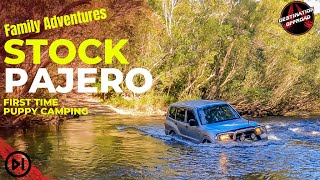 Stock Pajero | Family Camping and Overlanding with our Dog in two Mitsubishi's