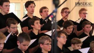 John Rutter, Look at the World, Knabenchor collegium iuvenum Stuttgart