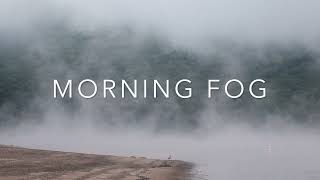 Morning fog lake shore