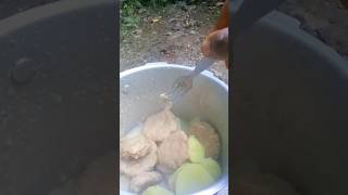 Real Dumpling Pot 😋 #villagelife  #vibes #cooking #jamaican #dumplings