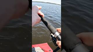 Caught A Single #Fish on Two Rods! #fishing #shorts #viral #viralshorts #fishingequipment #catfish