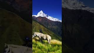 Mountain 🏔️ Everest Vlogs #shorts #short #youtubeshorts 🌄🌄🌄🌄🌄🌄🏔️🏔️🏔️🏔️🏔️🏔️