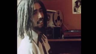 Reggae in a Babylon (Documentary - 1978)