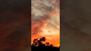 Check out this sunset! Sundown song. #nature #chill #trending #subscribe