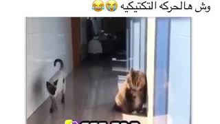 حركة مدروسة بعناية...Just Me