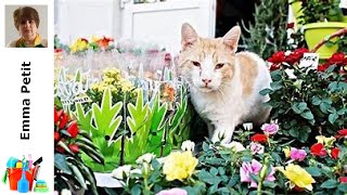 5 Astuces Infaillibles pour Protéger Vos Fleurs des Chats