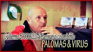 PALOMAS MENSAJERAS Y VIRUS (Guillermo Barrallo)