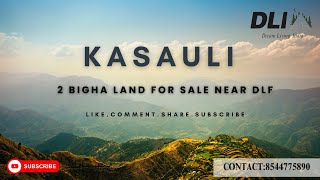 2 BIGHA 12 Bishwa LAND FOR SALE | NEAR DLF KASAULI | #realestate  #dreamproperty #himachal  #kasauli