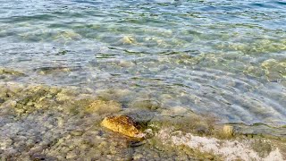 Bildschirmschoner: Tegernsee - kleine Wellen am Ufer (in 4K)