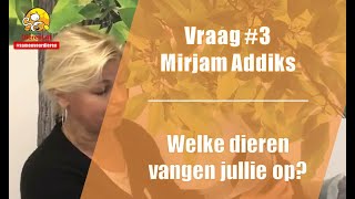 Vraag #3 DierenLot - Mirjam Addiks