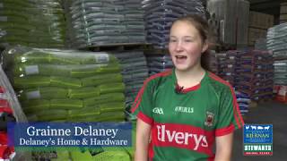 Delaneys Hardware & Agri. Ballyhanuis Mayo