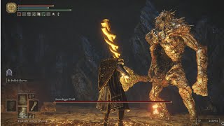 [Elden Ring] (NG+) Stonedigger Troll vs Envoy Long Horn🎺| No Hit Run | 2024