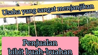 usaha yang sangat menjanjikan (investasi masa depan)👍👍👍penjualan bibit buah-buahan