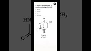 NEET PG #biochemistry MCQ || Pyrimidine || Thymine ring structure