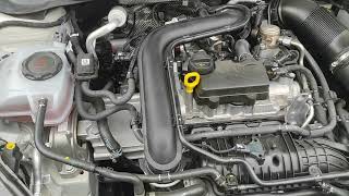 VW 1.0 TSI Engine Sound! Strange Noises in Idle. Volkswagen Taigo