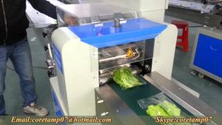 KT-350X vegetable/lettuce packaging machine&equipment for sale China manufacturer