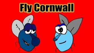 Fly Cornwall - Pretty Tatties